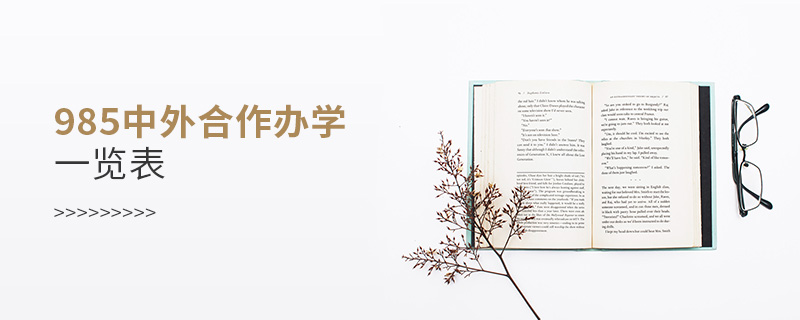 985中外合作辦學(xué)一覽表