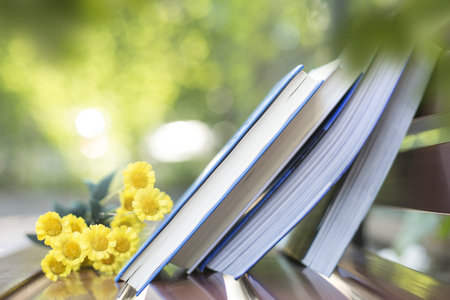 南京財經(jīng)大學(xué)MEM報考條件