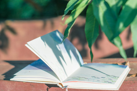 國(guó)際政治在職研究生就業(yè)方向與前景