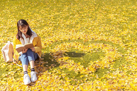 浙江財經(jīng)大學(xué)在職研究生考試科目