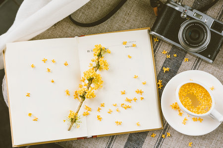 大連理工大學在職研究生考試科目 大連理工大學在職研究生考試科目