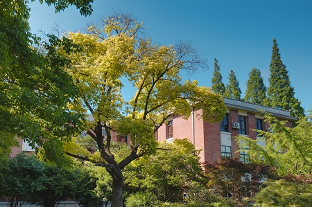 西北工業(yè)大學在職研究生考試考什么科目? 西北工業(yè)大學在職研究生考試考什么科目?