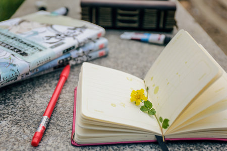 青海民族大學(xué)MPA報(bào)考條件