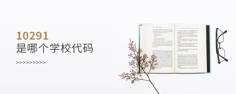 10291是哪個學校代碼
