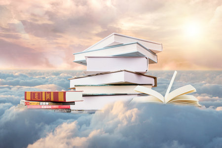 河南財經政法大學MPA報考條件 河南財經政法大學MPA報考條件