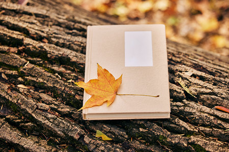 蘭州大學金融專碩報考條件