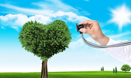 心理學在職研究生就業方向與前景! 心理學在職研究生就業方向與前景!