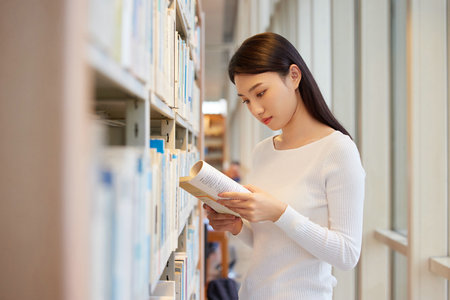 法國維萊爾國際商學(xué)院國際碩士報(bào)考條件