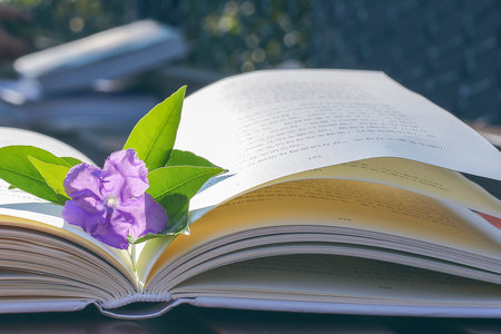 法國ISG高等管理學院國際碩士報考條件 法國ISG高等管理學院國際碩士報考條件