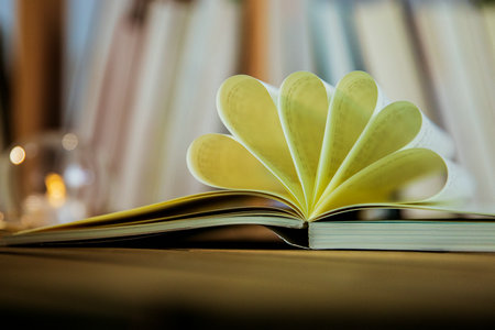 荷蘭商學(xué)院國(guó)際碩士報(bào)考條件