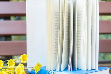 法國尼斯大學國際博士報考條件及相關(guān)信息匯總！