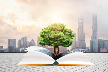 概率論與數理統計在職研究生報名及考試時間2025