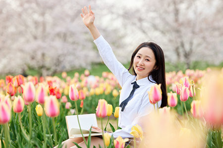 青島大學(xué)MPA報考條件2025年