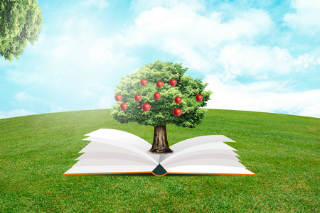 西華師范大學非全日制研究生報考條件2025年