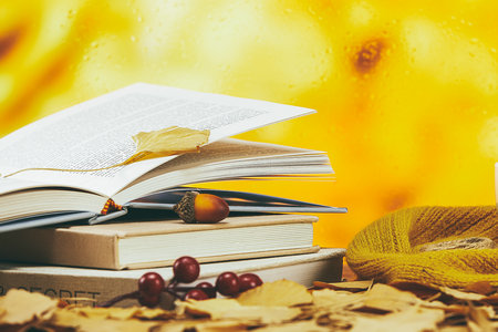 西南林業大學非全日制研究生報考條件 西南林業大學非全日制研究生報考條件