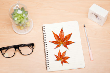 浙江財(cái)經(jīng)大學(xué)非全日制研究生報(bào)考條件