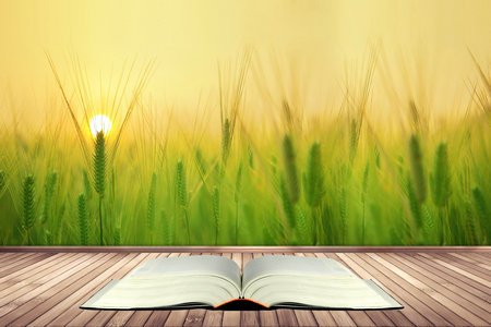 江西科技師范大學同等學力申碩報考條件