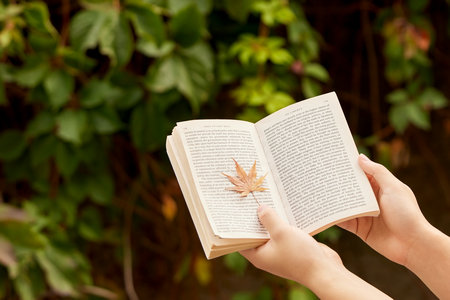 北京物資學(xué)院同等學(xué)力申碩報(bào)考條件