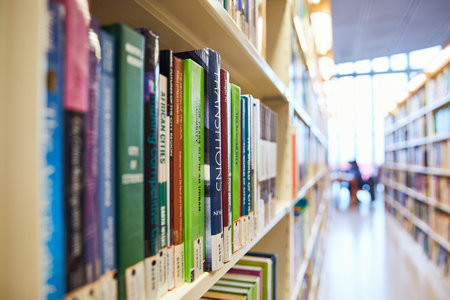 新疆師范大學MPA報名入口2025年