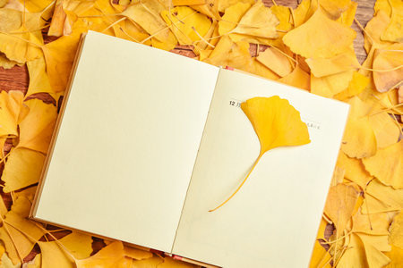 西南政法大學(xué)非全日制研究生報(bào)名入口2025年