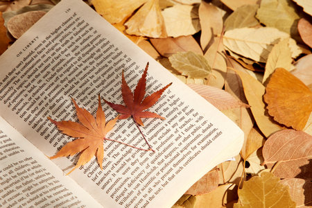 北京科技大學(xué)MPA報(bào)名入口 北京科技大學(xué)MPA報(bào)名入口