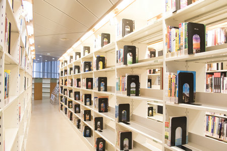 美國費爾菲爾德大學國際博士報名入口