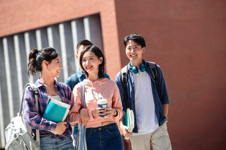 沈陽農業大學MPAcc報名入口