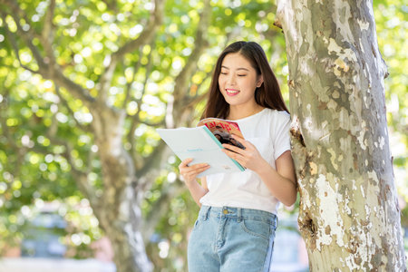 東北林業(yè)大學(xué)非全日制研究生報(bào)名入口 東北林業(yè)大學(xué)非全日制研究生報(bào)名入口