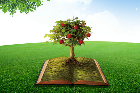 上海外國語大學(xué)MPA報名入口2025年