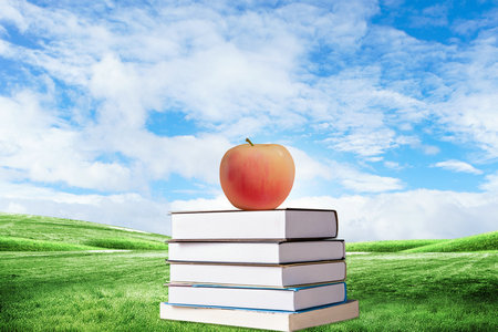 馬來西亞城市大學(xué)國際博士報考條件及流程