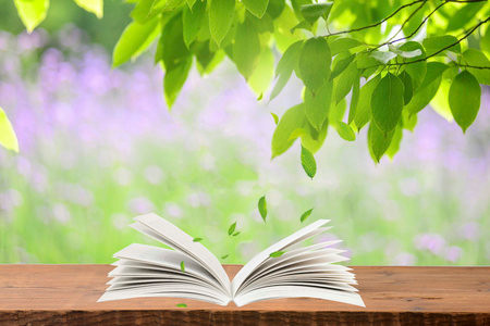 南京林業大學同等學力申碩報名入口2025年