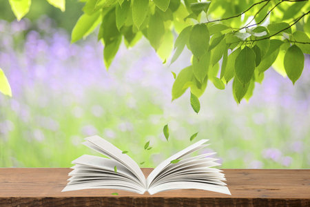 南京林業大學同等學力申碩報名入口 南京林業大學同等學力申碩報名入口