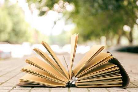 青島科技大學非全日制研究生報考條件2025年