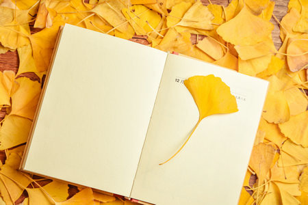 江蘇科技大學非全日制研究生報考條件2025年