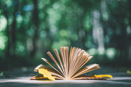 河南財(cái)經(jīng)政法大學(xué)同等學(xué)力申碩報(bào)考條件 河南財(cái)經(jīng)政法大學(xué)同等學(xué)力申碩報(bào)考條件