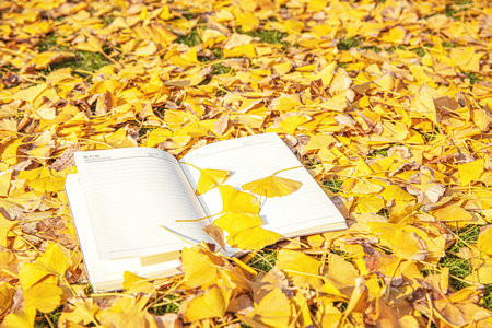 貴州大學(xué)MPA報(bào)考條件2025年