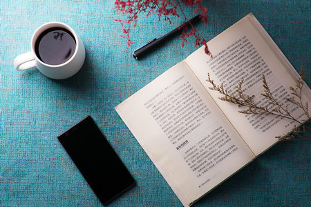 北京林業(yè)大學(xué)MPA報考條件