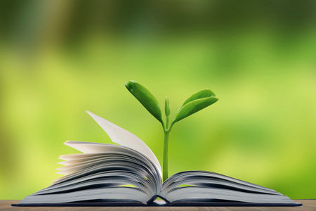 集美大學非全日制研究生報考條件及流程