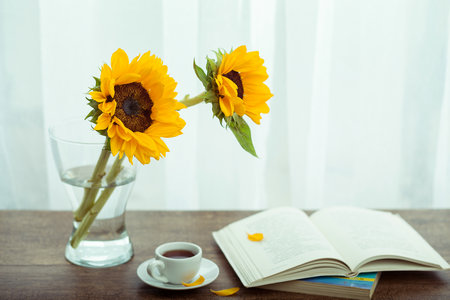 西安財經(jīng)大學(xué)MPAcc報考條件及流程