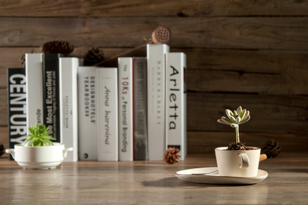 歐洲塞萬提斯大學(xué)國際博士報考條件及流程2025年