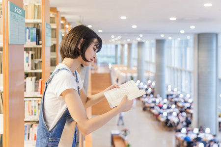 美國紐約理工大學(xué)國際博士報考條件及流程2025年