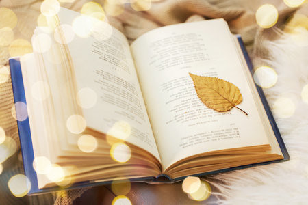 中國社會科學院研究生院MPAcc報考條件及流程2025年