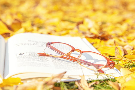 齊齊哈爾大學非全日制研究生報考條件及流程2025年