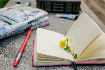 武漢理工大學MBA報考條件及流程2025年