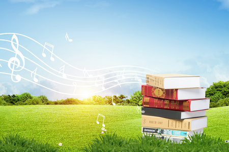 美國(guó)雪蘭多大學(xué)國(guó)際博士考試科目