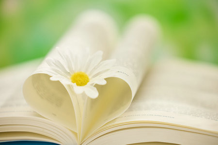 2026美國卡羅爾大學國際博士考試考什么科目？