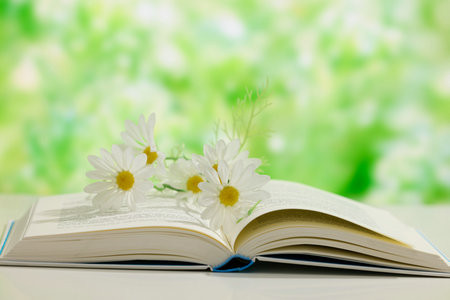 2026西班牙武康大學國際碩士考試考什么科目？