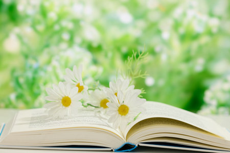 湘潭大學(xué)同等學(xué)力申碩考試科目