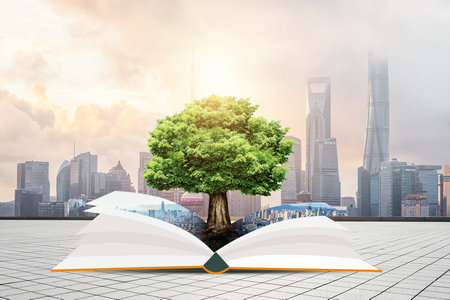 青島科技大學(xué)MBA考試考什么科目 青島科技大學(xué)MBA考試考什么科目