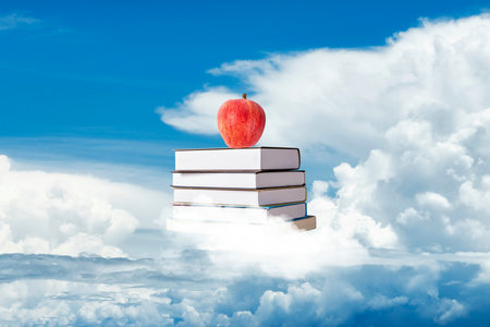 山東大學(xué)同等學(xué)力申碩考試科目